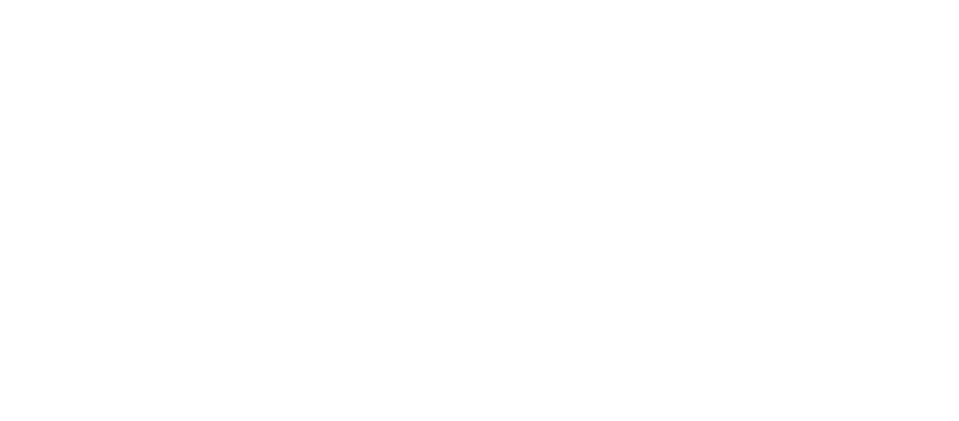 build bespoke carpentry logo upscaled white